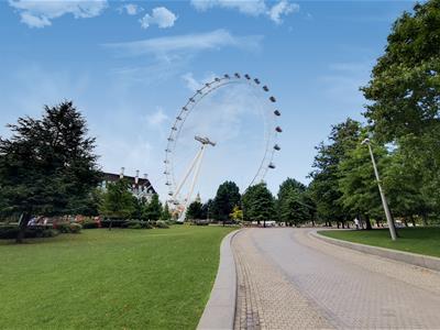 Picture 15